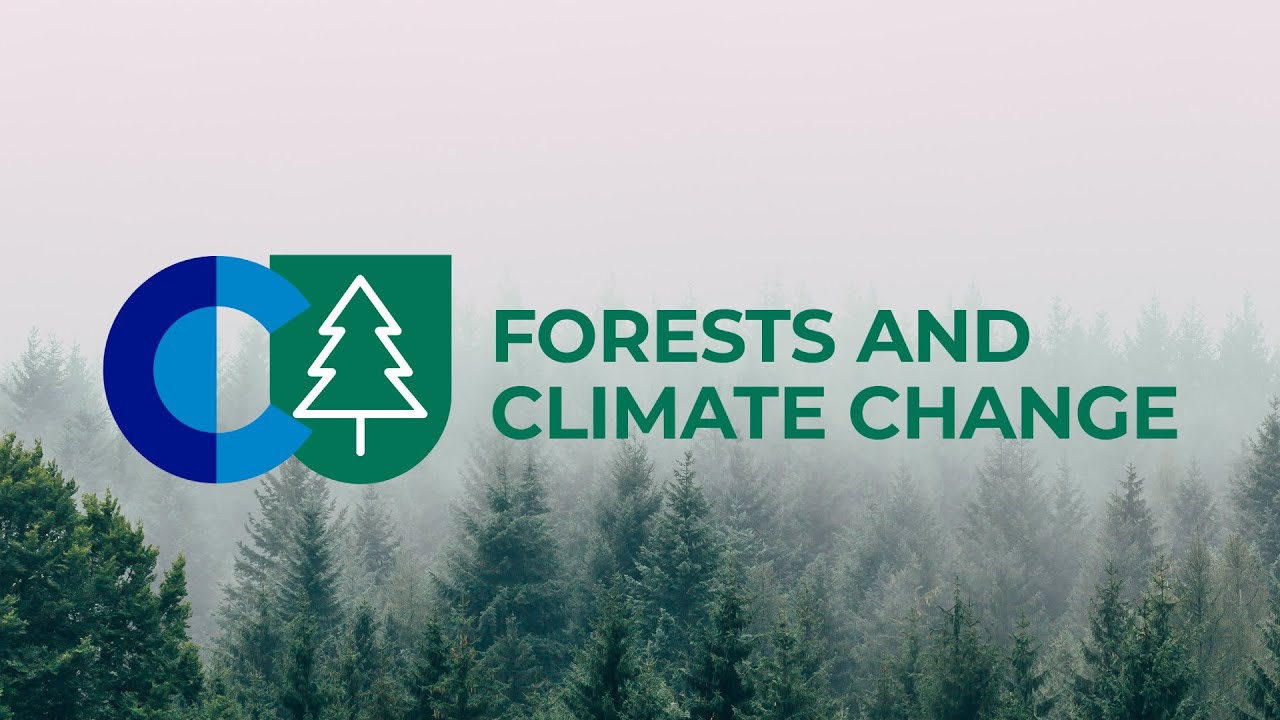 Welcome to the course Forests and Climate Change