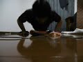 500 Push ups in one set #62 腕立て伏せ500回