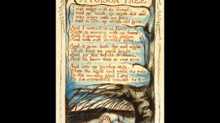 A Poison Tree - Jonathan Chan