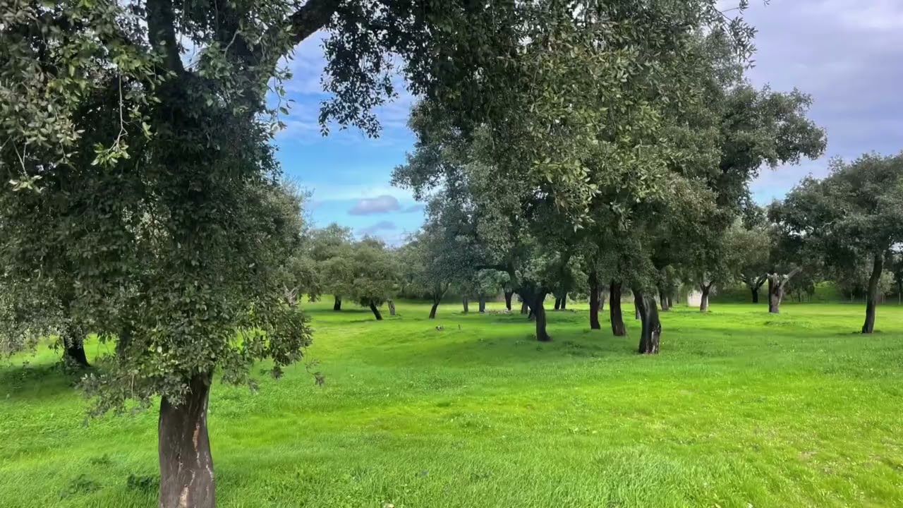 Vídeo do imóvel