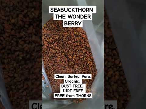 Seabuckthorn wonder berry, packaging size: 25 kg, packaging ...