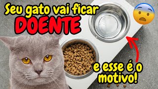 ERRO QUE TODO TUTOR DE GATO JÁ COMETEU! ESSE É UM DOS MOTIVOS QUE O DESMOTIVA A BEBER ÁGUA EM POTES!