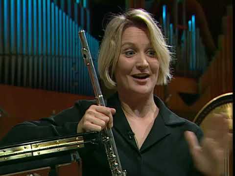 Sigurd og Symfoniorkesteret - Fløjte