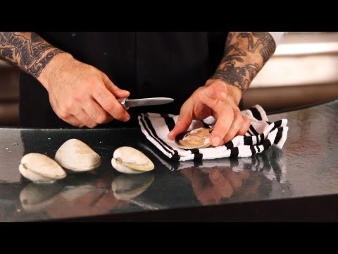 download lagu mp3 mp4 Is Eating Too Much Clams Bad, download lagu Is Eating Too Much Clams Bad gratis, unduh video klip Is Eating Too Much Clams Bad