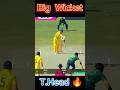 Travis Head Moye Moye Pakistan Vs Australia 2nd ODI Highlights Pakvsaus Cricket