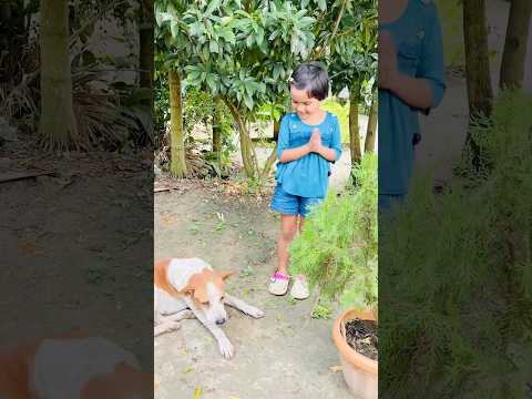 Dhriti ne dog ko biscuit khilaya 🥰😍