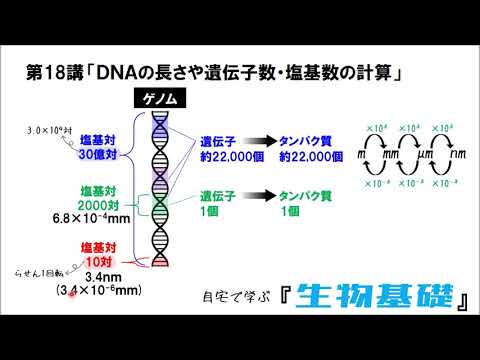 遺伝子読み取り速度の増加に問題があった