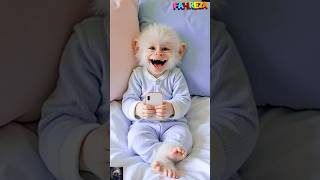 Download lagu Monyet ketawa,monyet nonton video lucu,monyet,monkey,doger monyet,beruk,bedes,ketek,kera,bandar mp3 Download lagu Monyet ketawa,monyet nonton video lucu,monyet,monkey,doger monyet,beruk,bedes,ketek,kera,bandar mp3