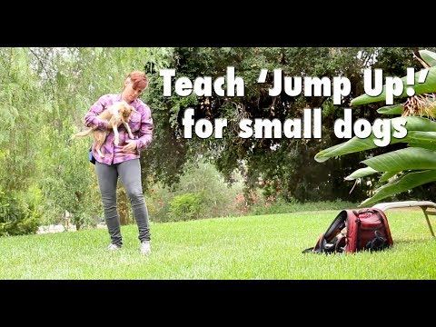 What is Clicker Training