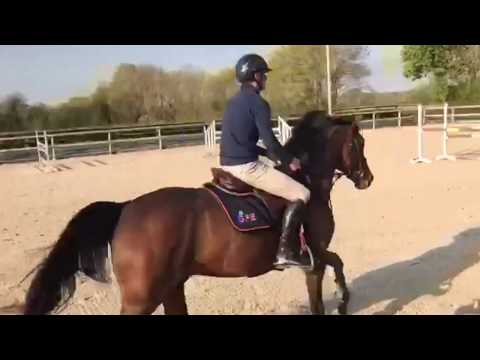 PETRUS DE BRANDEGEM*GFE