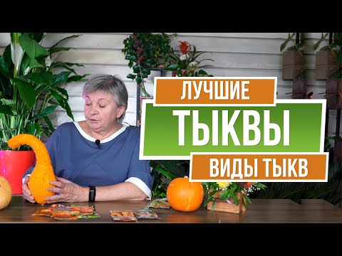 , title : 'Лучшие Сорта Тыкв ✔️ Какие виды тыкв подходят для средней полосы'