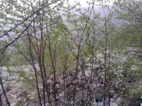 34° rally mille miglia 2010 ps colle sant eusebio