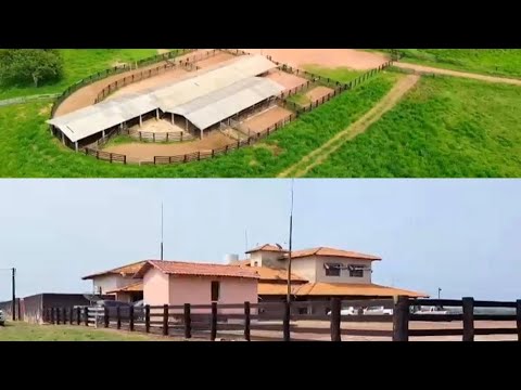 FAZENDA EXTRA À VENDA NO ESTADO DO TOCANTINS (63)984079880