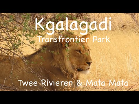 Kgalagadi Transfrontier Park - October 2025