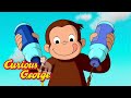 George S Desert Masterpiece Curious George Kids Cartoon Kids Movies