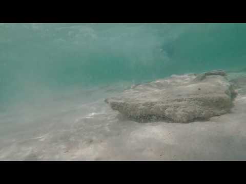 To The Ocean: Welcome Summer 2019!