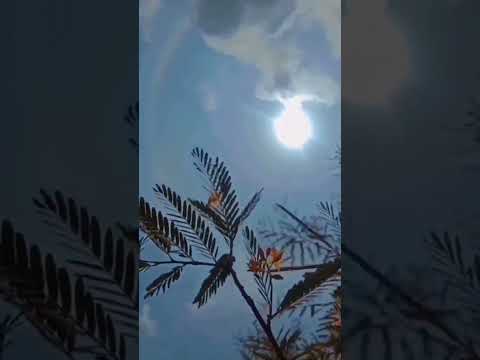 #telugusongs #love #naturelovers #nature #trending #shortsyoutube #shorts #song #teluguhitsong