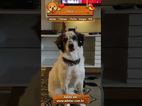 Vídeo de Nala