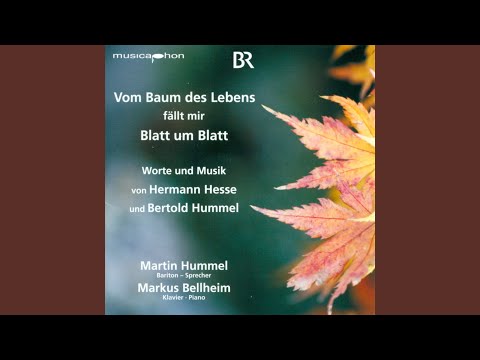 Kopflos (Lost his head) , Op. 108: No. 3. Waldnacht