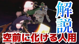 【スマブラSP】ロイ「弱空後」できるようになります！~なぜあなたの空後は空前に化けてしまうのか~【ロイ・クロム弱空後やり方解説】