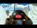 Pingu S Sledge Academy Pingu Official Channel Cartoons For Kids