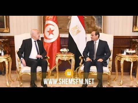 وليد الحجام 'الرئيس عبد الفتاح السيسي مُرحب به كضيف عزيز في تونس'