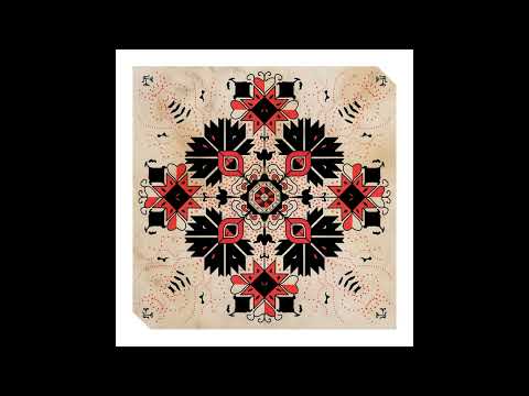 PREMIERE⚡️Vitorijoski - Banica (MR TC Remix) [Invisible Inc.]