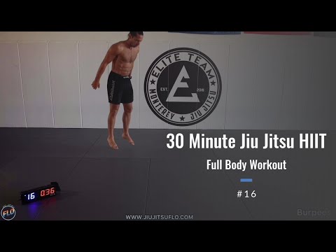 30 Minute Jiu Jitsu HIIT - Full Body Workout (No Equipment!!!)