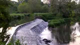 preview picture of video 'Tellisford Weir on the River Frome in Wiltshire'