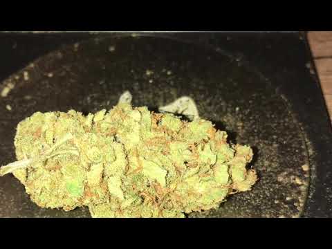 Miami haze Fast 500 Gramm