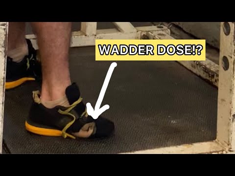 Izzy Serious!? EP106: Holey Shoes! How to Balance SQ/DL Hypertrophy Training, Rest Between Sets?