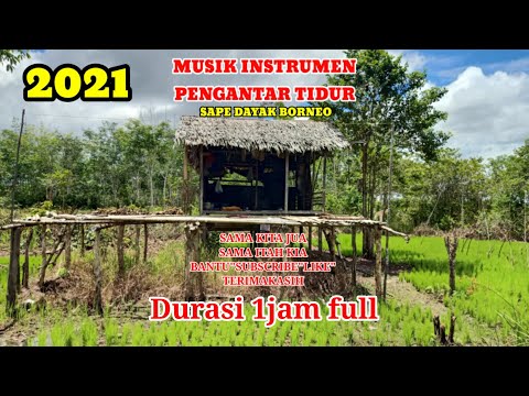 Instrument Musik Sape Dayak Borneo No Copyright Terbaru 2021