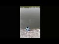 8kg Rahu Fish Catch From Lake Gulbarga Fishing