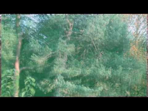 Georgian Waters - EP Release 27th of November