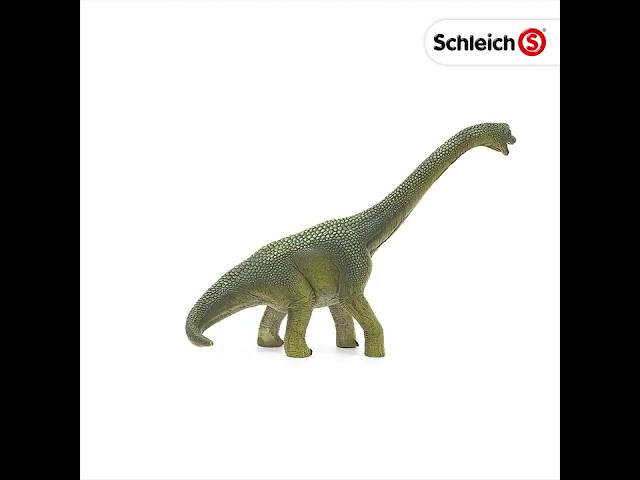 Vídeo relacionado con Schleich Dinosaurs | Brachiosaurio 14581 | Dinosaurio Realista | Figura de Dinosaurio para coleccionar | Regalo para niños | Juguete de Dinosaurio 3 años | 30 x 12 x 19 cm