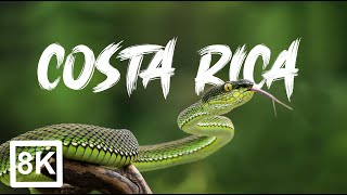 Costa Rica in 8K UltraHD (60 fps)