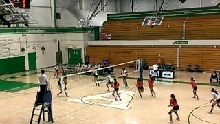 AHS Bulldogs - a Kill