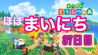 【37日目】実況！ジューン・ブライド"ほぼ"毎日 あつまれどうぶつの森　Animal Crossing: New Horizons 【Day37】