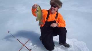 preview picture of video 'ICE FISHING NJ! on Spruce Run | Ken Beam & Curt Ryder ice fished Spruce Run Reservoir  2/23/2014'