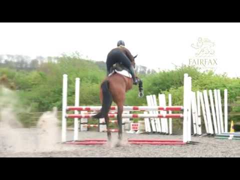 Emilie Chandler Masterclass in Minutes no 5 - Oxers