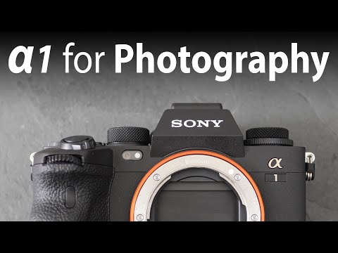 Sony Alpha 1 PHOTOGRAPHY review (res, DR, ISO, RAW, AF, 30fps) 2 months