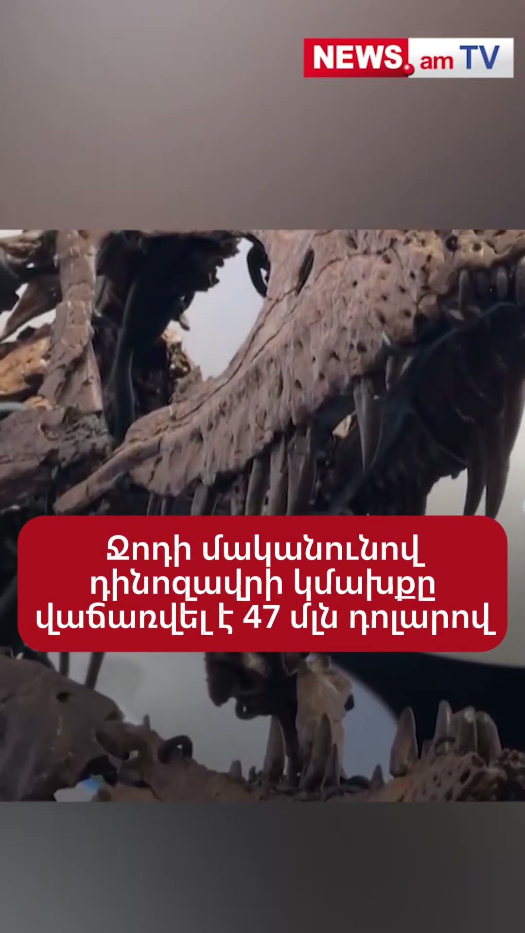 Ջոդի մականունով դինոզավրի կմախքն վաճառվել է 47 մլն դոլարով