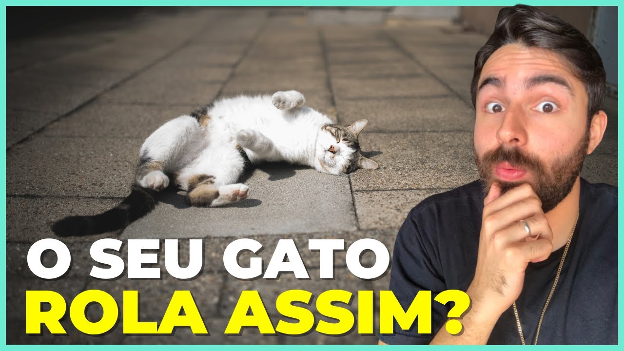 É POR ISSO Que Seu Gato ROLA NO CHÃO Quando Te Vê!