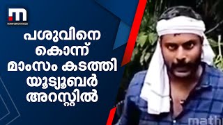 മേയാൻ വിട്ട പശുവിനെ വെടിവെച്ച് കൊന്ന് മാംസം കടത്തിയ യുടൂബറും സംഘവും അറസ്റ്റിൽ | Mathrubhumi News video