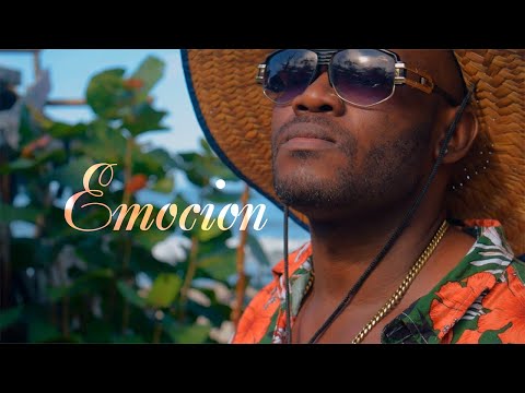 Natural Yerba - Emoción (Visulizer)