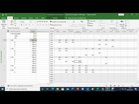 Gerenciamento de recursos    MS Project
