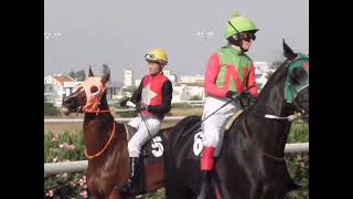 Download lagu AT THE HORSES RACES NICOSIA RACE CLUB CYPRUS НА ЛОШАДИНЫХ СКАЧКАХ #КИПР2022 #ЛОШАДИ #КОНИ mp3 Download lagu AT THE HORSES RACES NICOSIA RACE CLUB CYPRUS НА ЛОШАДИНЫХ СКАЧКАХ #КИПР2022 #ЛОШАДИ #КОНИ mp3