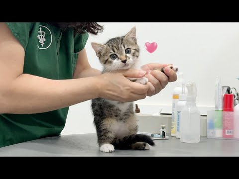 은우 실물을 본 의사선생님 반응