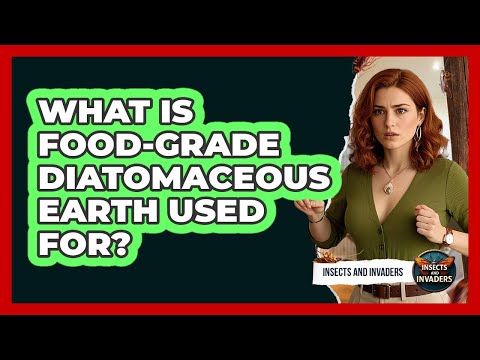 What Is Food-grade Diatomaceous Earth Used For? - Insects and Invaders