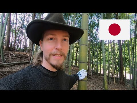 Wir ernten Bambus! Landleben in Japan im Umland von Hiroshima.